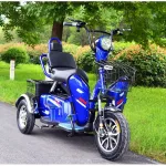 Электротрицикл E-toro Double 500W 48V20Ah — изображение 4