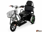 Электротрицикл E-toro Transformer Pro Li-ion 600w 48V 20Ah 2019