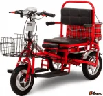 Электротрицикл Adjutant PRO 350W 48V/ 20Ah