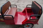 Электротрицикл TaiLG TDL800DQZ-71Z — изображение 3