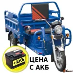 Электротрицикл TaiLG TL1000DQZ-01Z original
