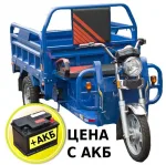 Электротрицикл TaiLG TL1000DQZ-01Z original — изображение 13