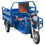 Электротрицикл TaiLG TL1000DQZ-01Z original — изображение 3