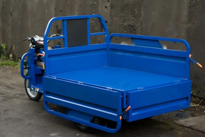 Электротрицикл TaiLG TL1000DQZ-01Z original — изображение 5