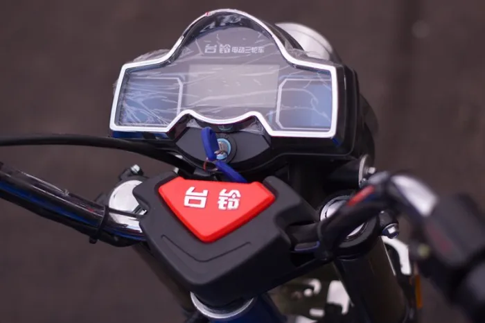 Электротрицикл TaiLG TL1000DQZ-01Z original — изображение 8