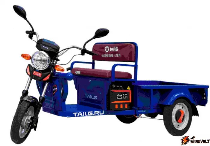 jelektrotricikl-tailg-tl650dqz-55z-0 Электротрицикл TaiLG TL650DQZ-55Z original — изображение 1