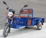Электротрицикл TaiLG TL650DQZ-55Z original — изображение 4