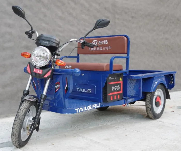 Электротрицикл TaiLG TL650DQZ-55Z original — изображение 4