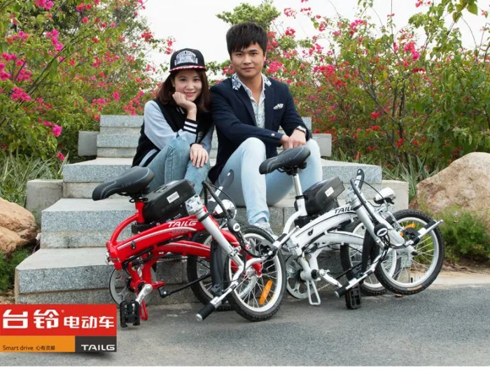 Электровелосипед TaiLG TDR 159Z 250W 36V8Ah — изображение 3