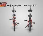 Электровелосипед TaiLG TDR 159Z 250W 36V8Ah — изображение 5