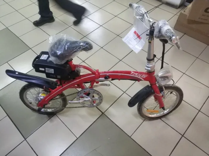 Электровелосипед TaiLG TDR 159Z 250W 36V8Ah — изображение 6