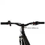 Электровелосипед E-motions Golden Motor 1000W — изображение 6