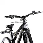 Электровелосипед E-motions Golden Motor 1000W — изображение 5