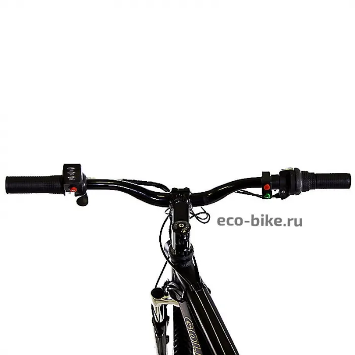 Электровелосипед E-motions Golden Motor 1000W — изображение 6