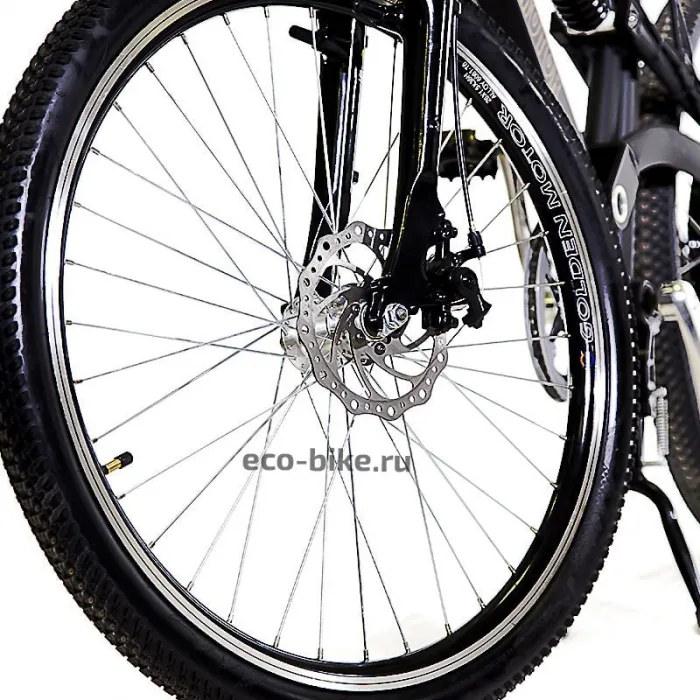 Электровелосипед E-motions Golden Motor 1000W — изображение 10