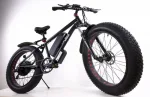 Электро фэтбайк горный Elbike Phantom Vip 500W 48V/10,4Ah — изображение 2