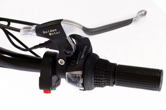 Электровелосипед Golden Motor Single Drive Turbo 1500Вт — изображение 4