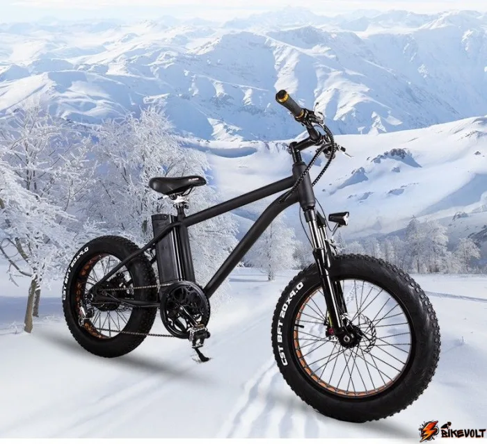 Электровелосипед m-Bog Fat 20 350W 36V/10Ah — изображение 8