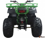 Квадроцикл Avantis Hunter 200 (2020) — изображение 2