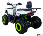 Квадроцикл Avantis Hunter 200 NEW LUX 2020 — изображение 2