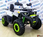 Квадроцикл Avantis Hunter 200 NEW LUX (БАЛАНС.ВАЛ) — изображение 5