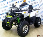 Квадроцикл Avantis Hunter 200 Premium NEW (2021) — изображение 2