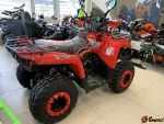 Квадроцикл MOTAX ATV Grizlik 200 New — изображение 6