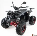 Квадроцикл Motax ATV Grizlik-8 125 — изображение 4