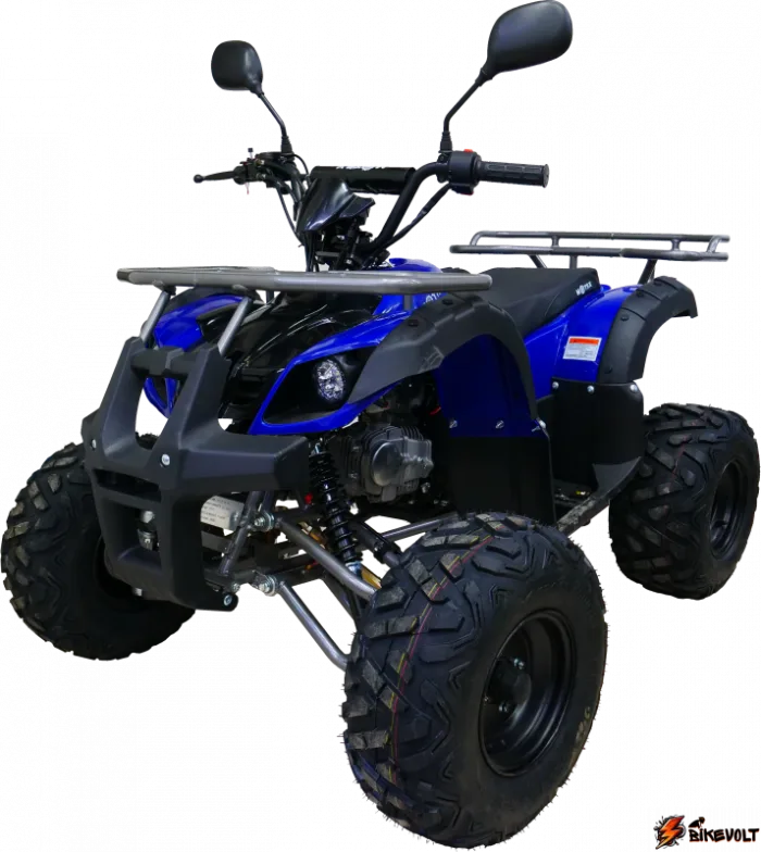 Квадроцикл MOTAX ATV Grizlik LUX 125сс — изображение 2