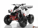 Квадроцикл MOTAX ATV Raptor-LUX 125 сс — изображение 3