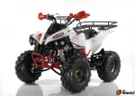 Квадроцикл Motax ATV Raptor Super LUX 125 cc — изображение 2