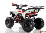 Квадроцикл Motax ATV Raptor Super LUX 125 cc — изображение 12