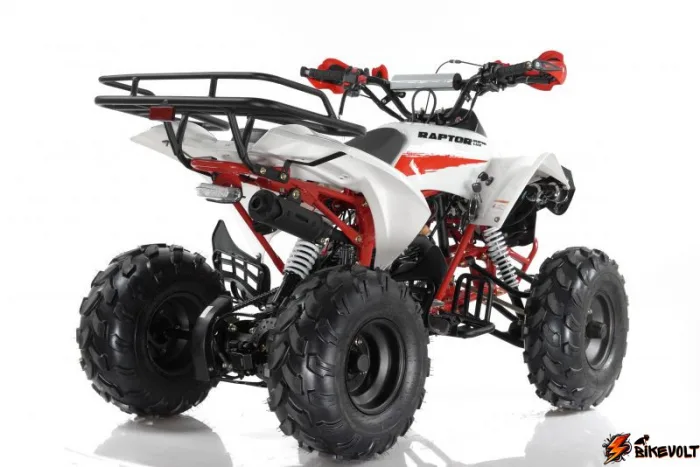 Квадроцикл Motax ATV Raptor Super LUX 125 cc — изображение 6