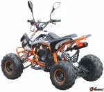 Квадроцикл MOTAX ATV T-Rex-LUX 125 сс — изображение 5