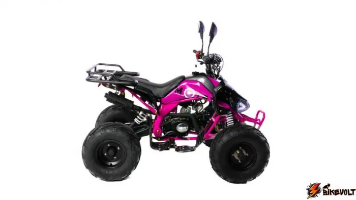 Квадроцикл MOTAX ATV T-Rex-LUX 125 сс — изображение 7