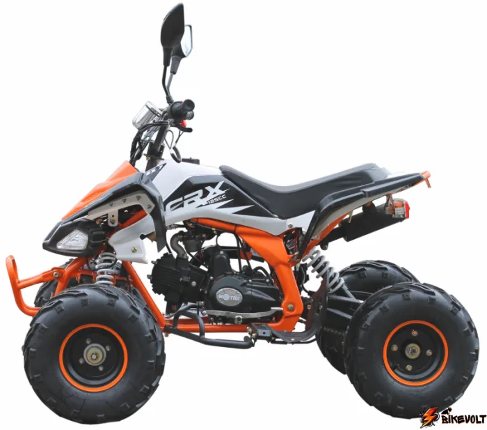 Квадроцикл MOTAX ATV T-Rex-LUX 125 сс — изображение 8
