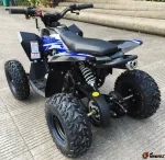 Квадроцикл Motax Gekkon 90 cc 1+1 (Реверс) — изображение 6