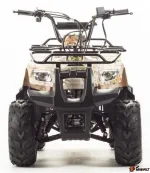 Квадроцикл Motoland 110 Rider — изображение 2