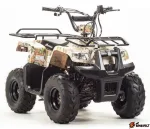 Квадроцикл Motoland 110 Rider — изображение 8