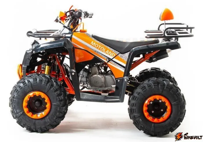 Квадроцикл Motoland 125 RAPTOR — изображение 2