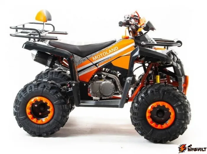 Квадроцикл Motoland 125 RAPTOR — изображение 3