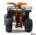 Квадроцикл Motoland 125 RAPTOR — изображение 4