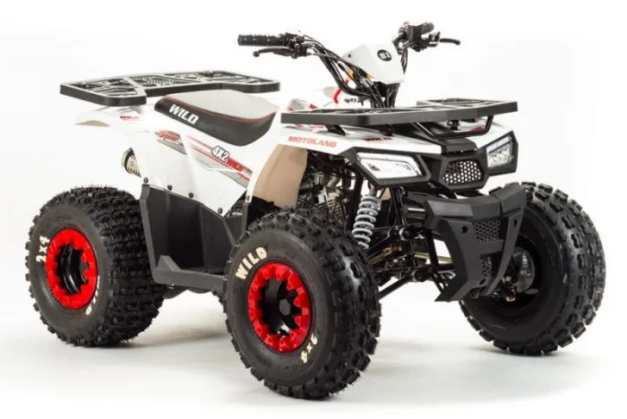 Квадроцикл Motoland 125 WILD BASIC — изображение 4