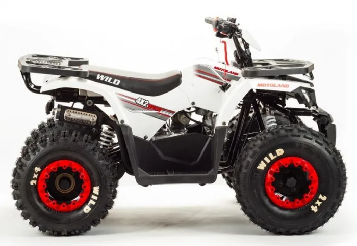 Квадроцикл Motoland 125 WILD BASIC — изображение 5