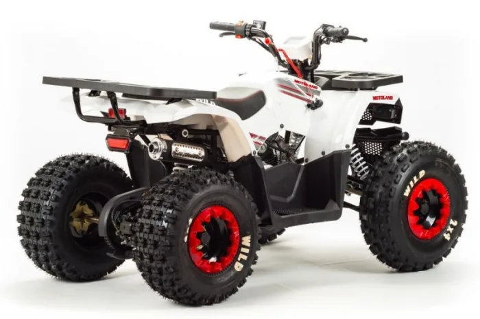 Квадроцикл Motoland 125 WILD BASIC — изображение 6