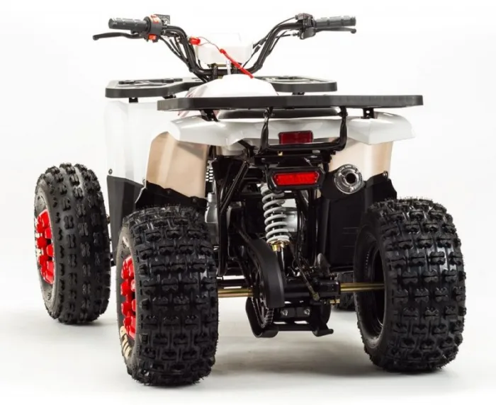 Квадроцикл Motoland 125 WILD BASIC — изображение 7