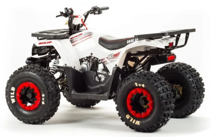 Квадроцикл Motoland 125 WILD BASIC — изображение 8