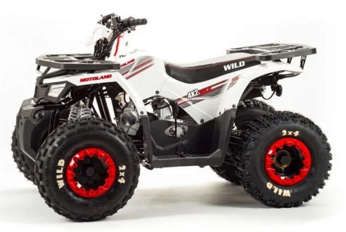 Квадроцикл Motoland 125 WILD BASIC — изображение 9