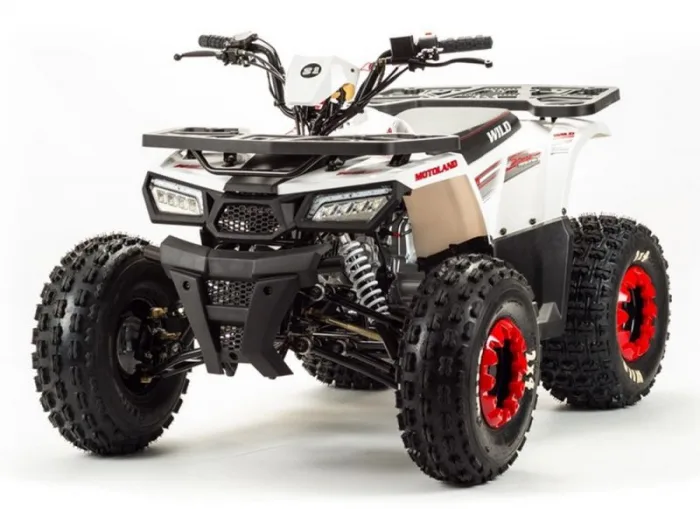 Квадроцикл Motoland 125 WILD BASIC — изображение 10