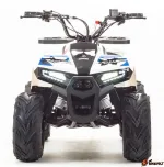 Квадроцикл Motoland Eagle 110 — изображение 5